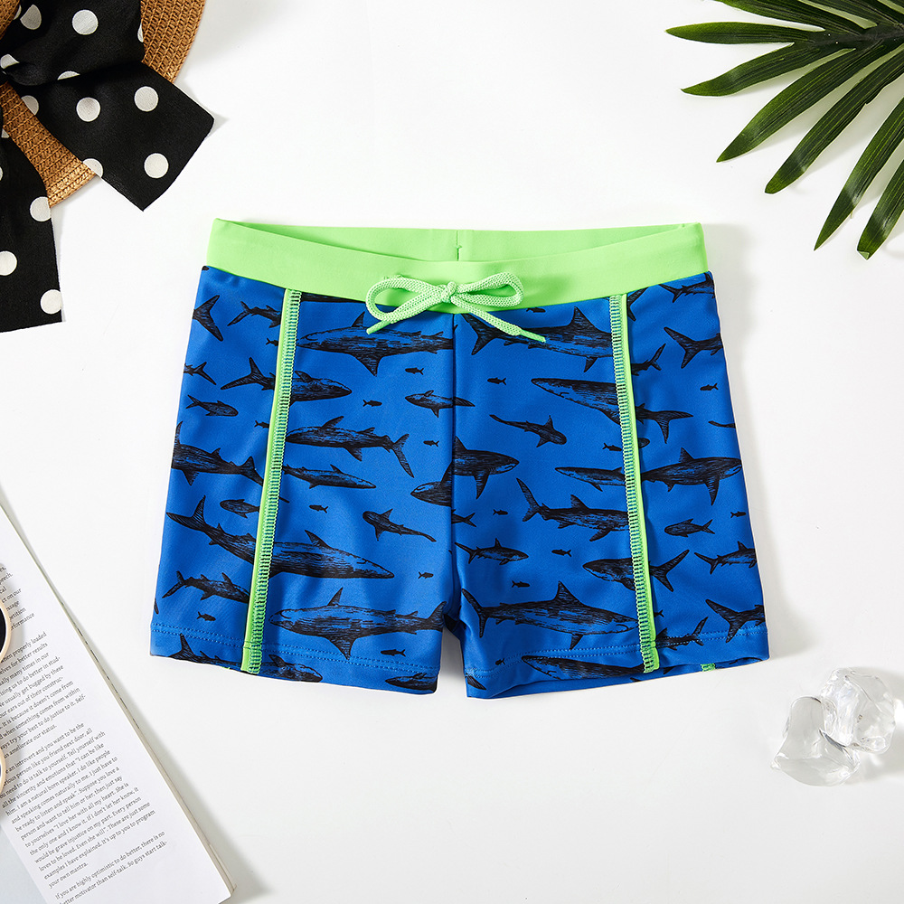New Child Summer Swim Trunks B - Boyshort Underwear 评论和价格
