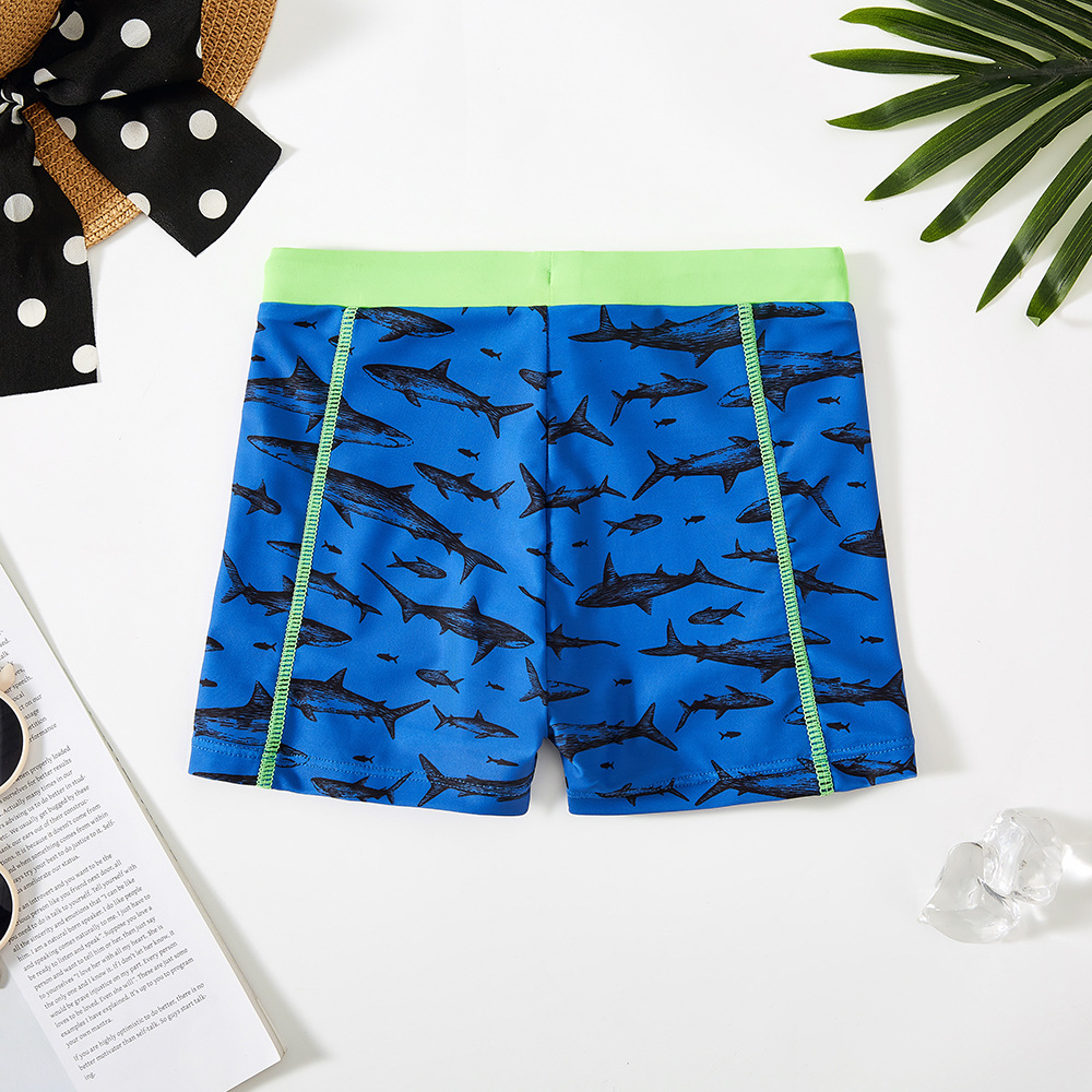 New Child Summer Swim Trunks B - Boyshort Underwear 评论和价格